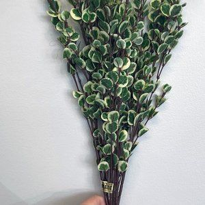 Artificial Variegated Peperomia Bush 7 Stems 21in